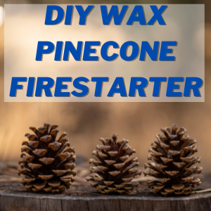 Pinecone Firestarter Crafts